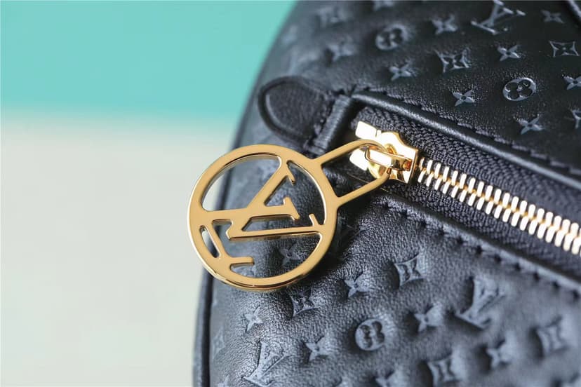 Louis Vuitton Loop Black For Women‎ 9.1in/23.1cm M22591