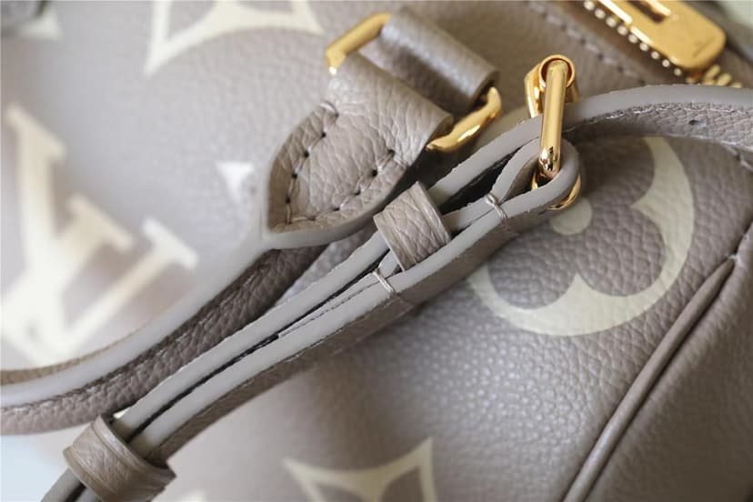 Louis Vuitton Speedy Bandouliere 20 Beige And Grey M46575