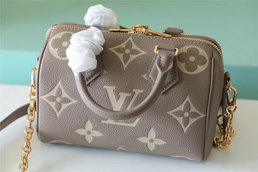 Louis Vuitton Speedy Bandouliere 20 Beige And Grey M46575