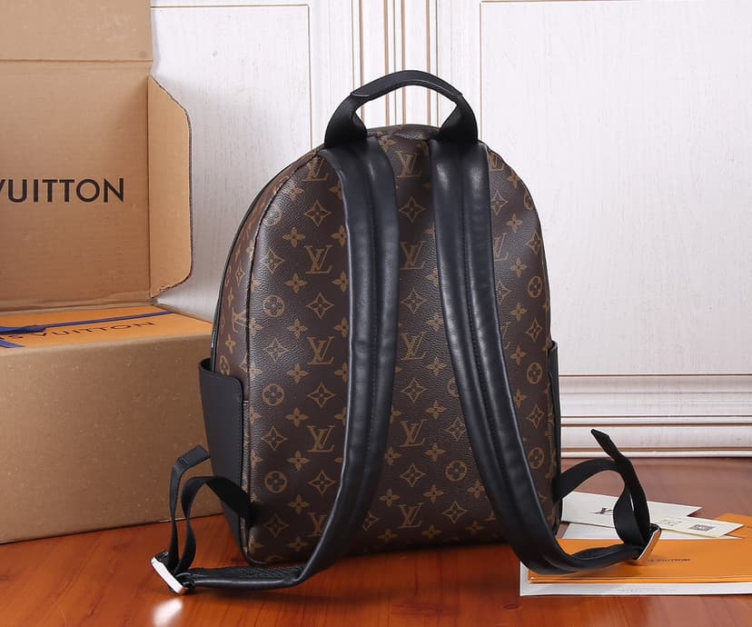 Louis Vuitton Discovery Backpack PM Brown For Men 38cm / 15in M46684