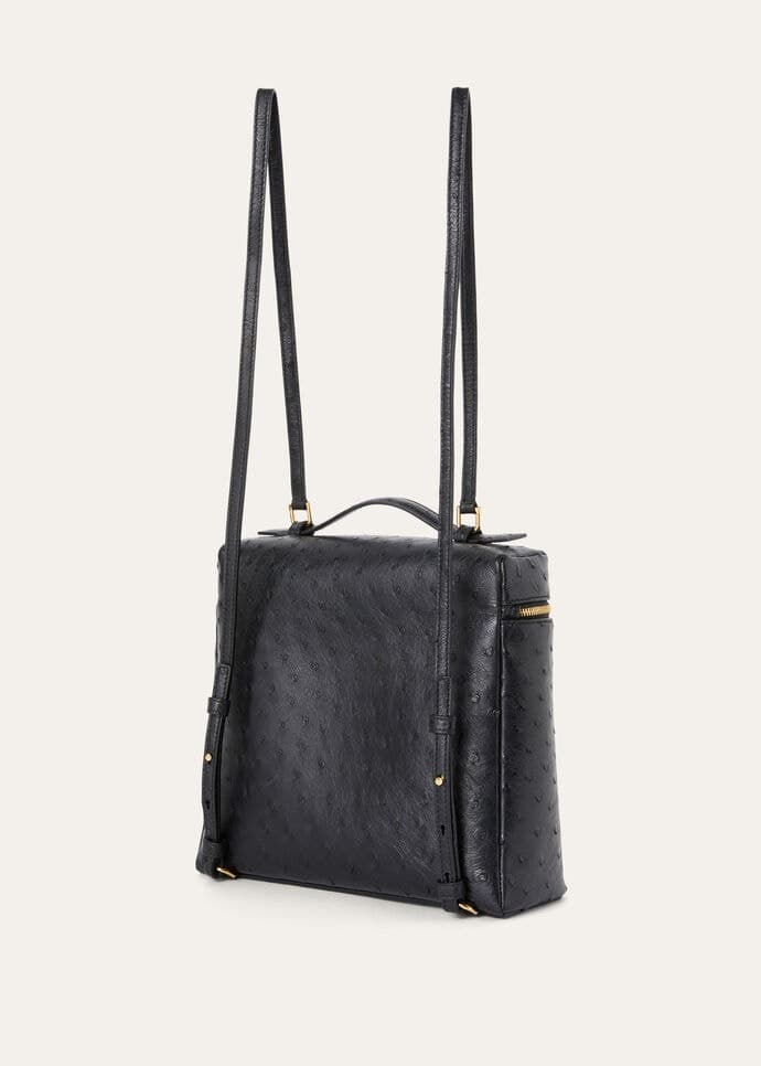 undefined - alternate