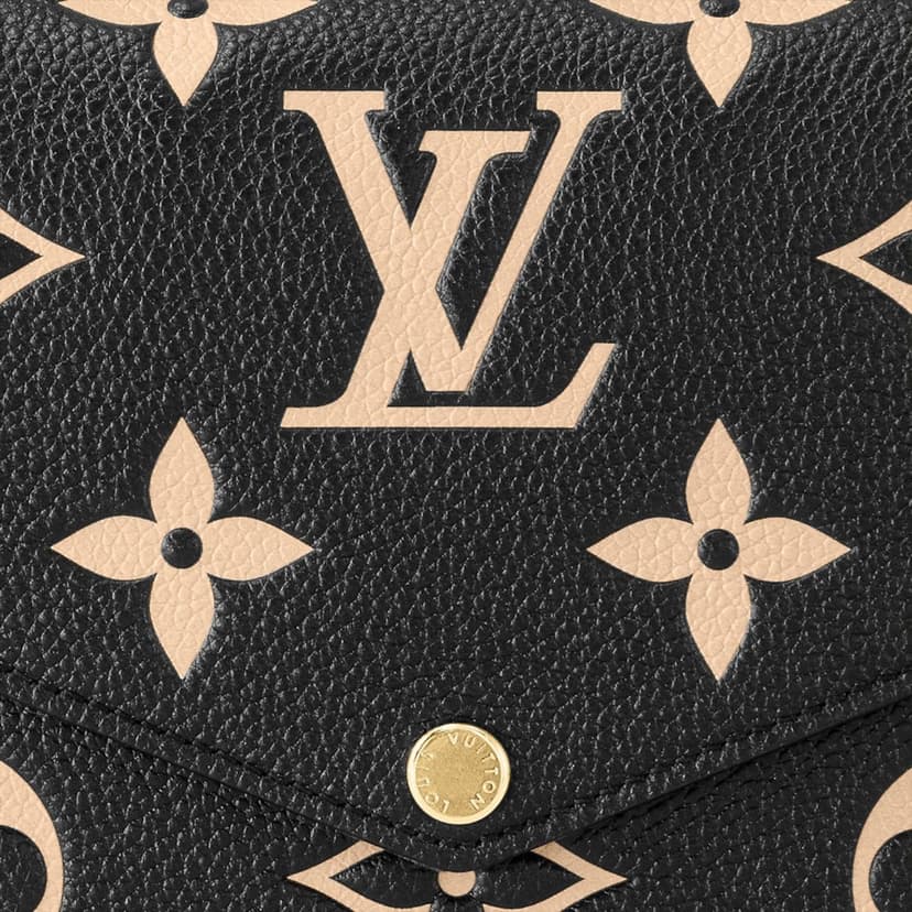 Louis Vuitton Félicie Pochette Black/Beige For Women 21cm/8.3in M82479