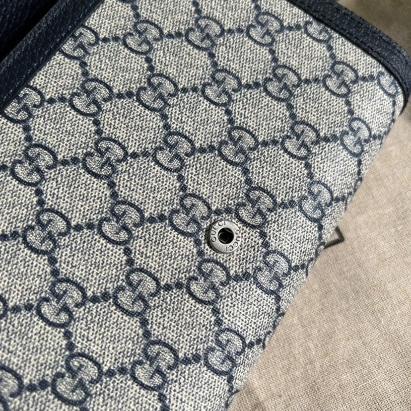 Gucci Dionysus GG Chain Wallet Beige And Blue 401231 K9GSN 4075