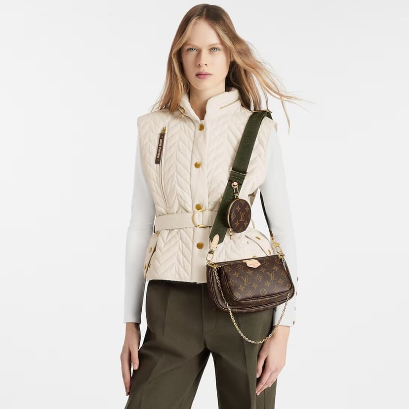 Louis Vuitton Multi Pochette Accessoires Bags Brown M44813