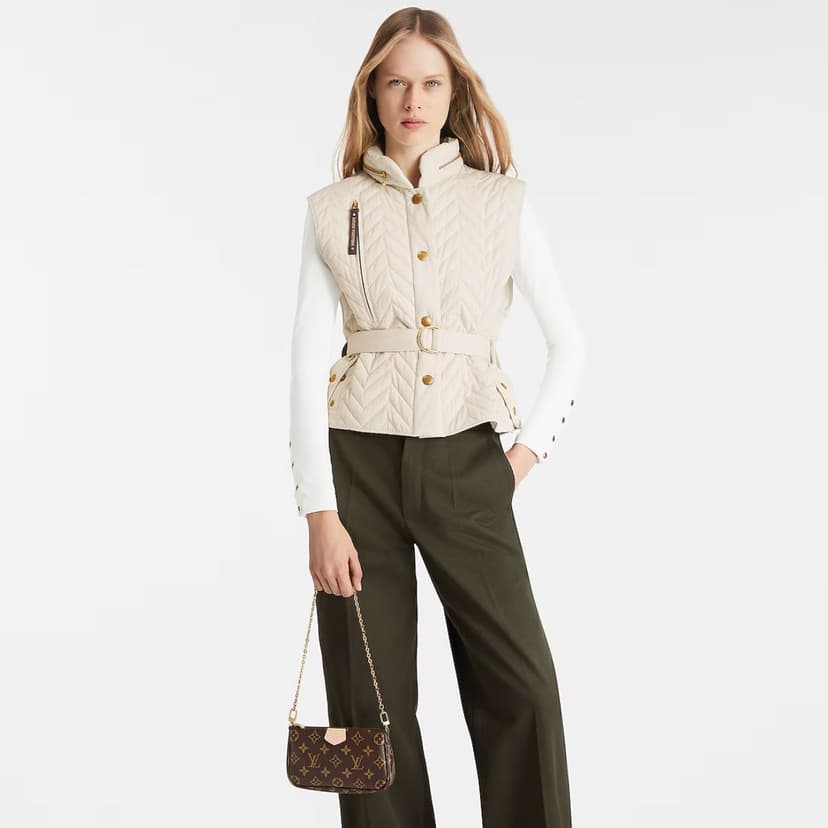 Louis Vuitton Multi Pochette Accessoires Bags Brown M44813