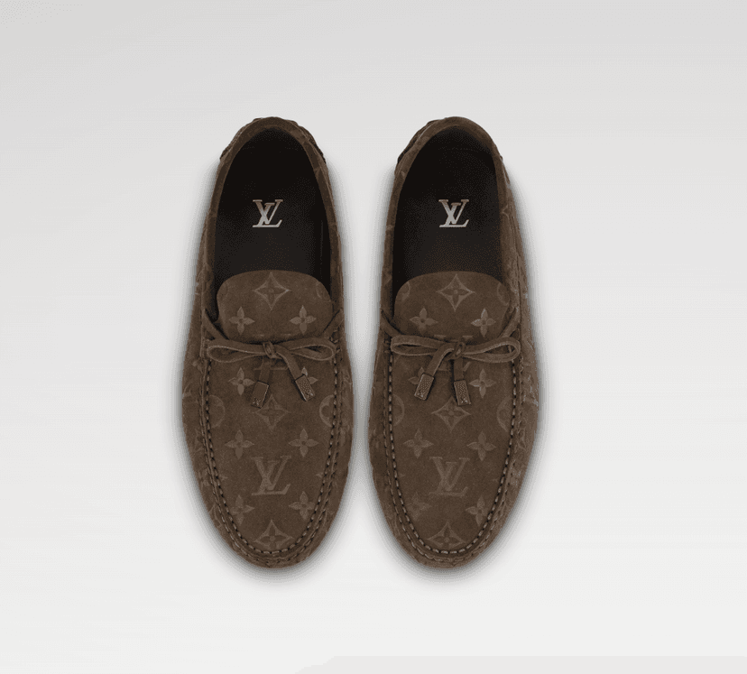 Louis Vuittion LV Driver Moccasin Brown For Men LV 1AAF0E