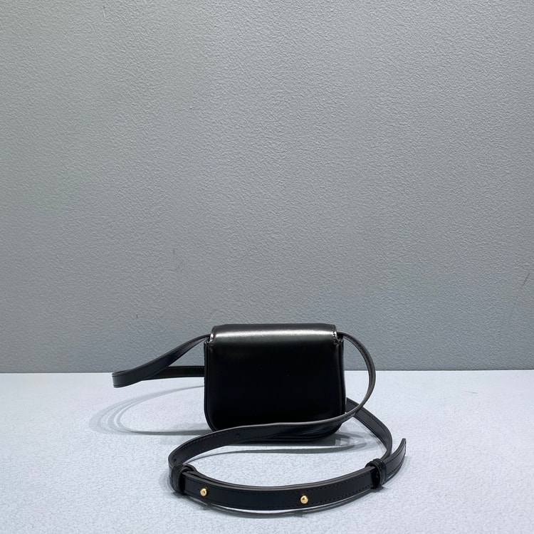 Celine Teen Triomphe Bag Black 188423BF4.38NO