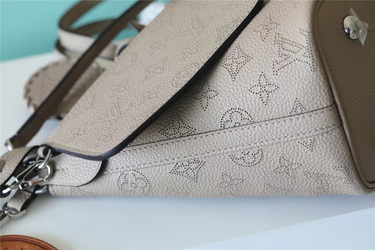 Louis Vuitton Loop Blossom PM Beige For Women‎ 7.9in/20cm M21849