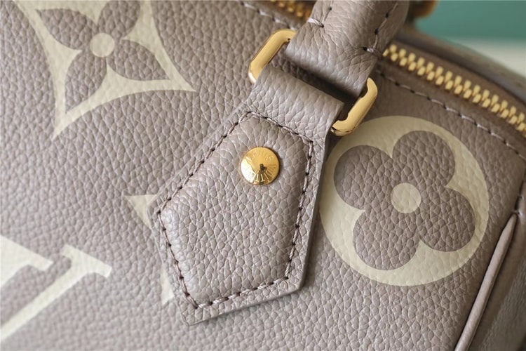 Louis Vuitton Speedy Bandouliere 20 Beige And Grey M46575