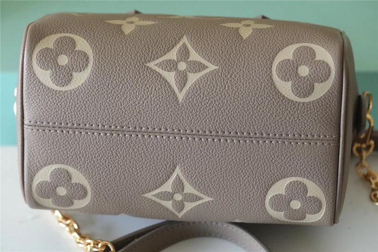 Louis Vuitton Speedy Bandouliere 20 Beige And Grey M46575