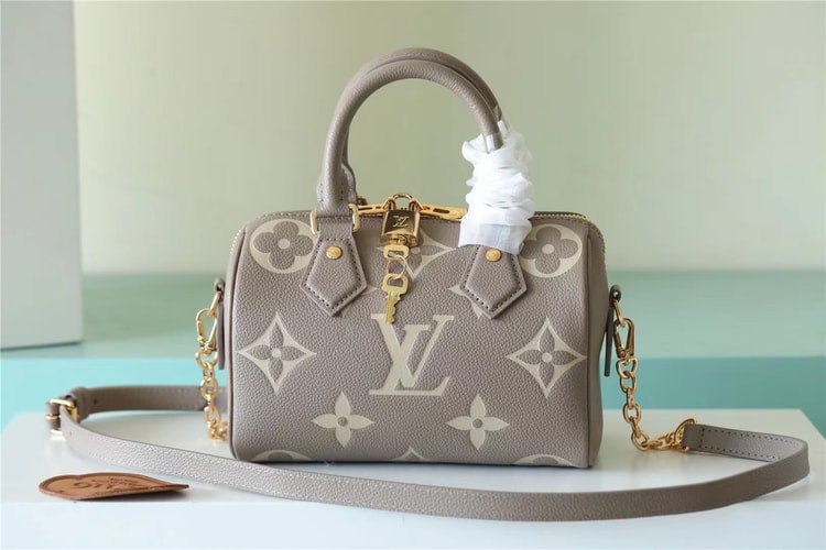 Louis Vuitton Speedy Bandouliere 20 Beige And Grey M46575
