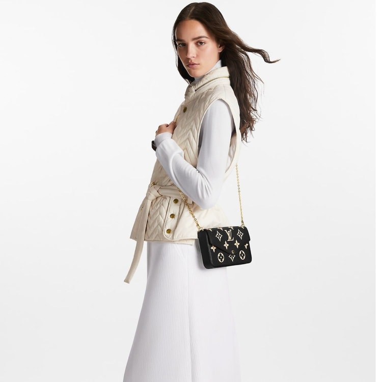 Louis Vuitton Félicie Pochette Black/Beige For Women 21cm/8.3in M82479