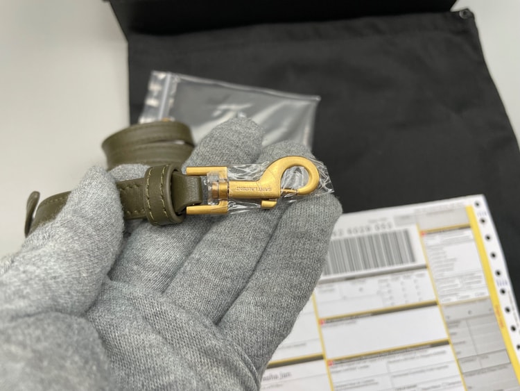 [True-to-ORIGINAL] Saint Laurent GABY Vanity Light Musk Bag For Women 18cm/7.1in