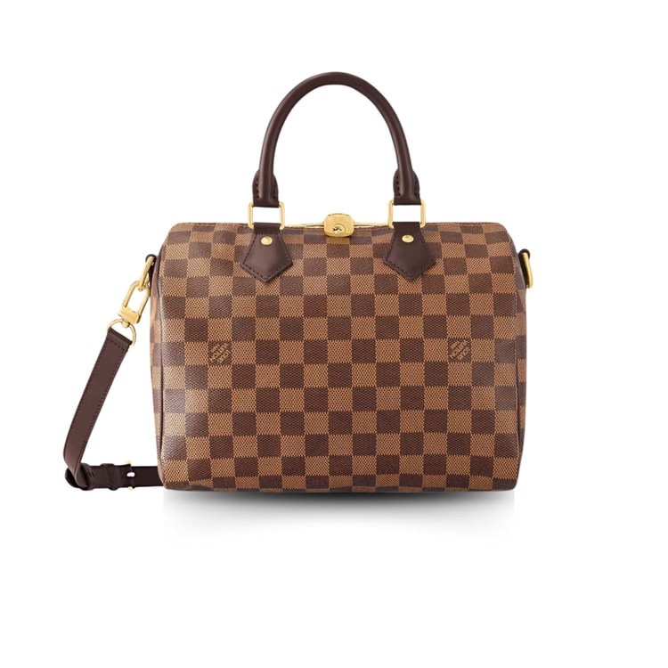 Louis Vuitton Speedy Bandouliere 25 Damier Ebene Canvas N40575