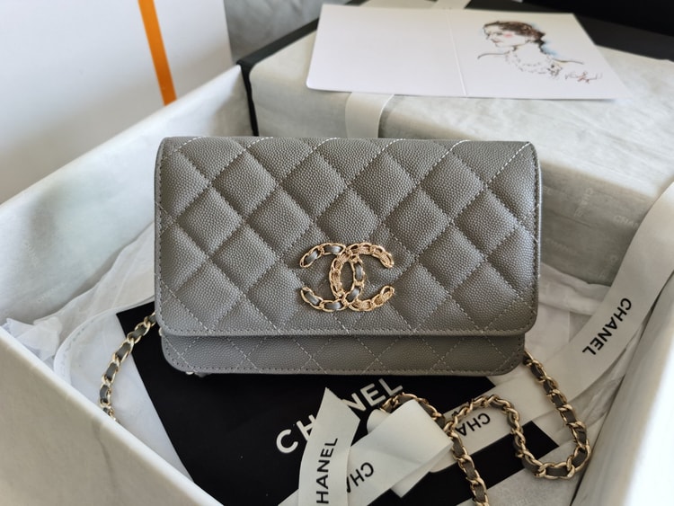 Chanel Mini Flap Bag Grey