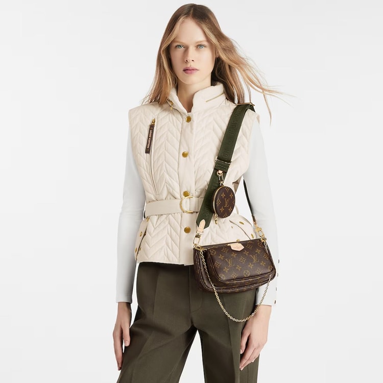 Louis Vuitton Multi Pochette Accessoires Bags Brown M44813