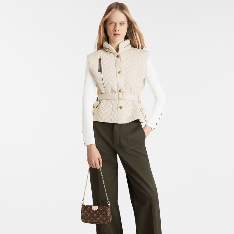 Louis Vuitton Multi Pochette Accessoires Bags Brown M44813