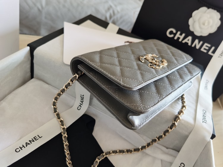Chanel Mini Flap Bag Grey